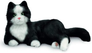chat d'empathe robot noir