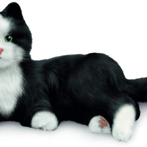 chat d'empathe robot noir