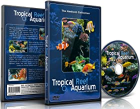 dvd sensoriel aquarium du monde jeux geronto jeux gerontologie jeu personnes agees alzheimer ludimage dvd009