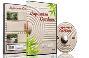 dvd sensoriel jardins japonais jeux geronto jeux gerontologie jeu personnes agees alzheimer ludimage dvd005
