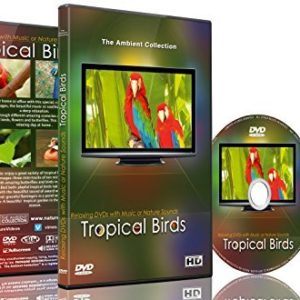dvd sensoriel oiseaux tropicaux musique son nature jeux geronto jeux gerontologie jeu personnes agees alzheimer ludimage dvd003