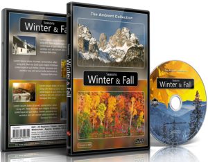 dvd sensoriel saisons automne hiver jeux geronto jeux gerontologie jeu personnes agees alzheimer ludimage dvd007