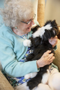 personne âgée avec chat thérapeutique