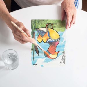 aquapaint 'jolis oiseaux'