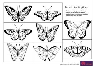 jeu des papillons ludimage