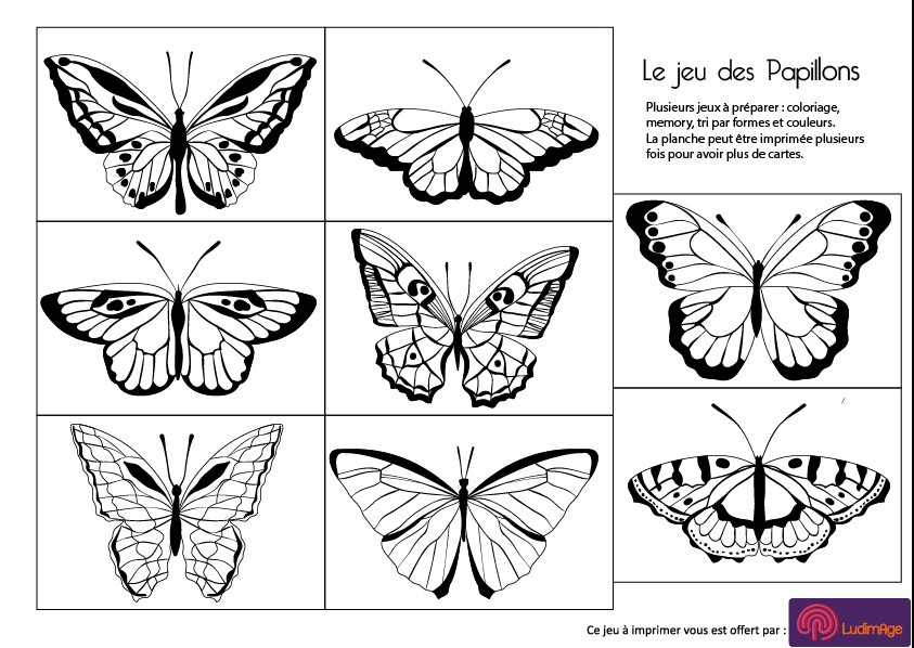 jeu des papillons ludimage