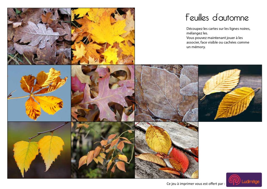 feuilles d'automne1 page 0001