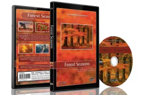 son d'ambiance relaxant: les saisons en foret