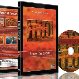 son d'ambiance relaxant: les saisons en foret