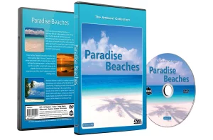 son d'ambiance relaxant: plage paradisiaque