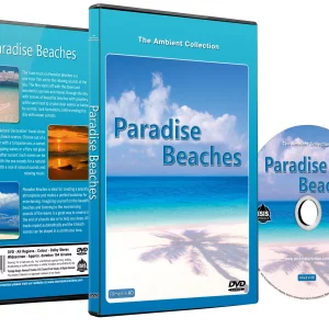 son d'ambiance relaxant: plage paradisiaque