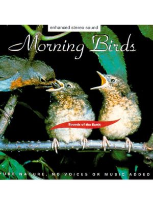 cd morning bird ludimage