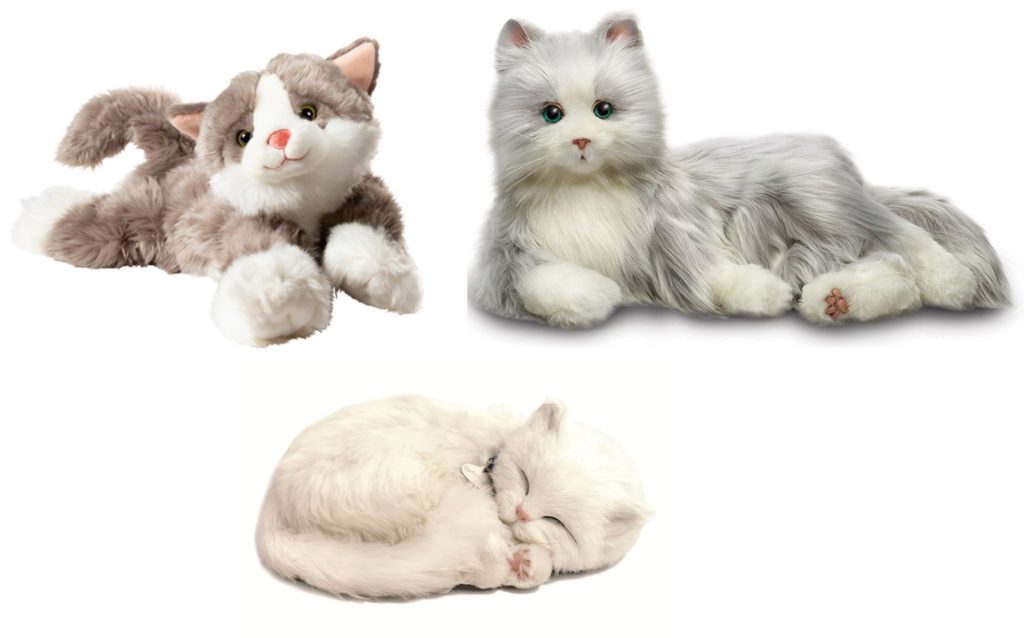 chat robot, chat qui dort, chat calin billy