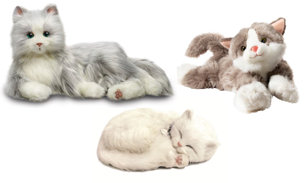 chat robot, chat qui dort, chat calin