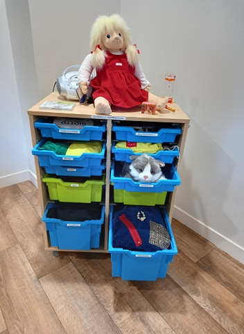 Chariot Flash CLASE pour les INM.