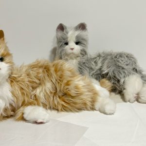 chat d’empathie robot Ludomania – gris x 1 + roux x 1