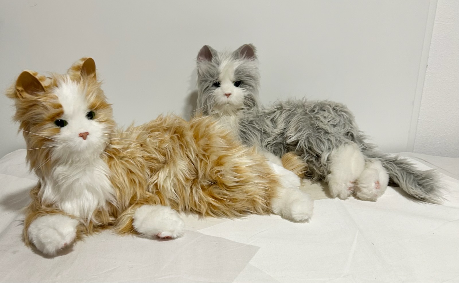 chat d’empathie robot Ludomania – gris x 1 + roux x 1